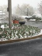 Hershey Lodge Snow in April'16